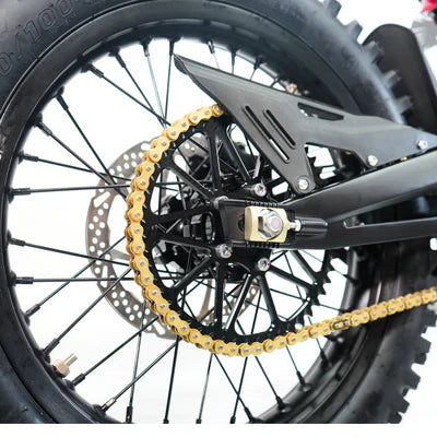 Ventus V1+ EVO rear wheel and gold chain